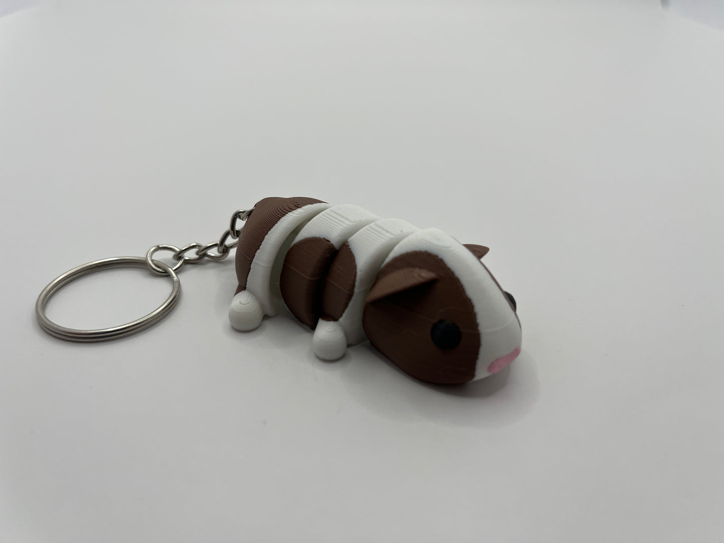 Guinea pig