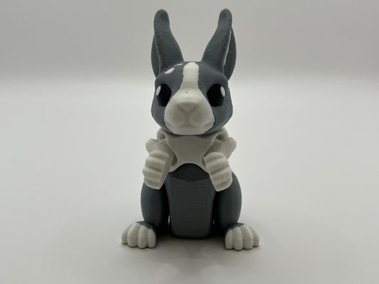Big Bunny