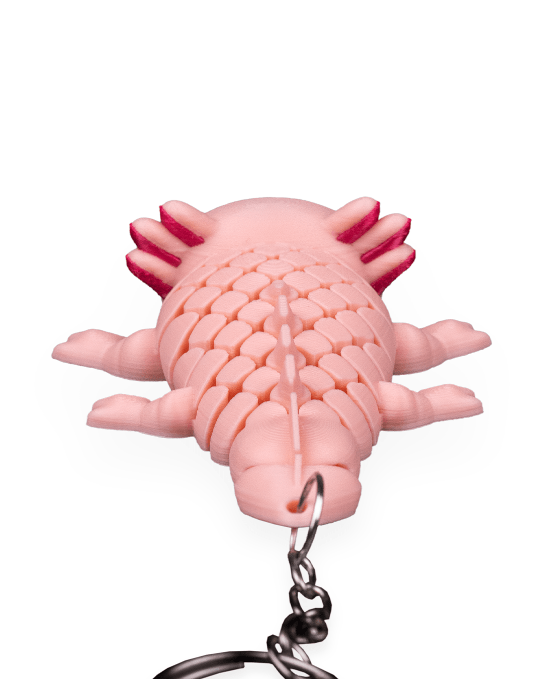Ashley, the Axolotl