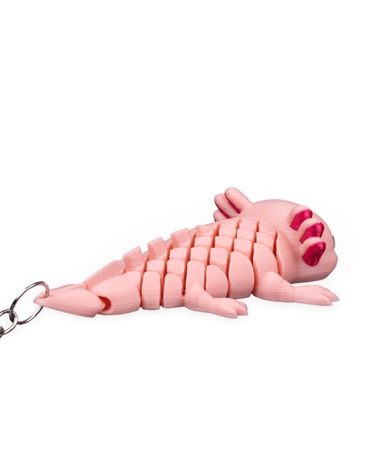 Ashley, the Axolotl