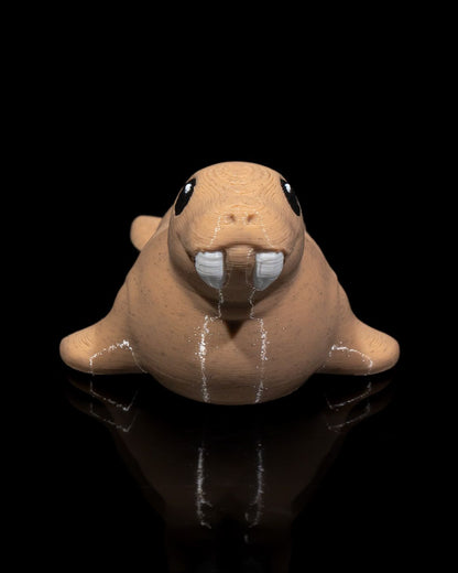 Atlantic Walrus