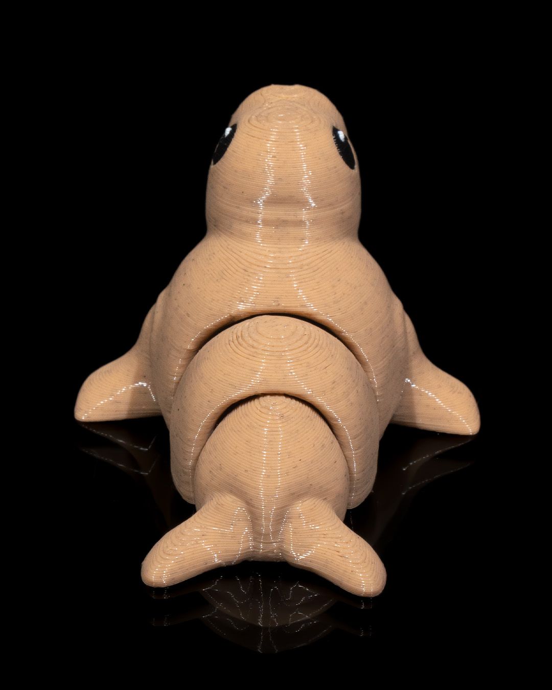 Atlantic Walrus