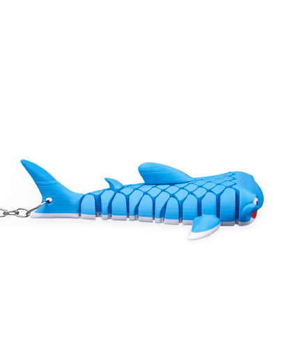 Mark, the Whale Shark