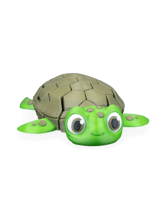 Myrtle, the Turtle
