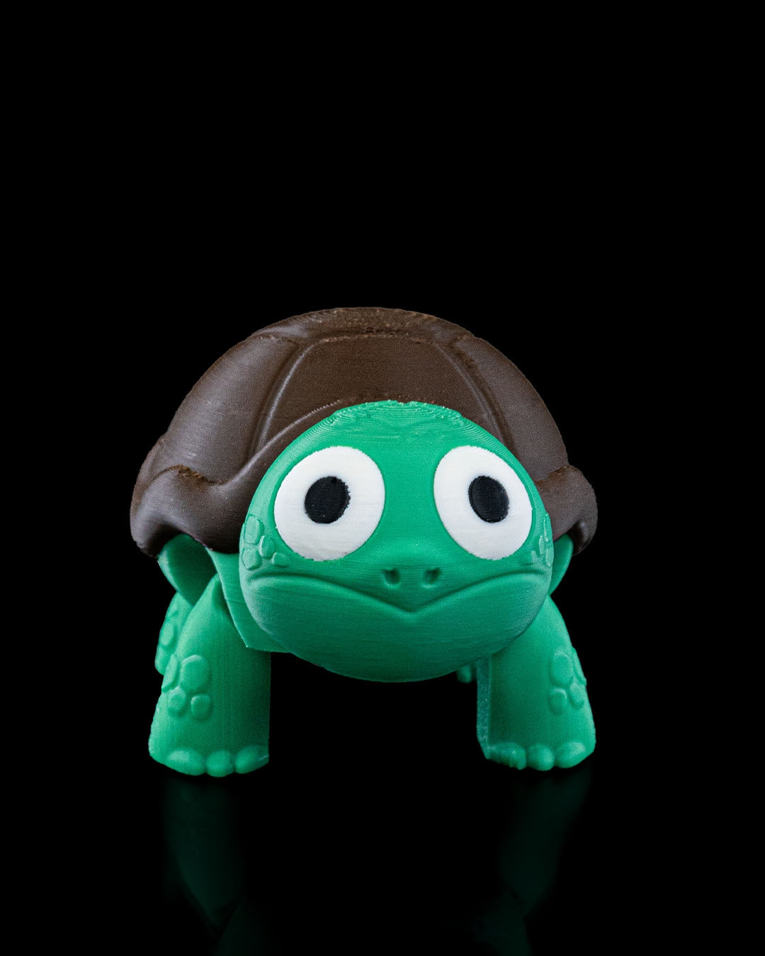Not Surprised Turtle