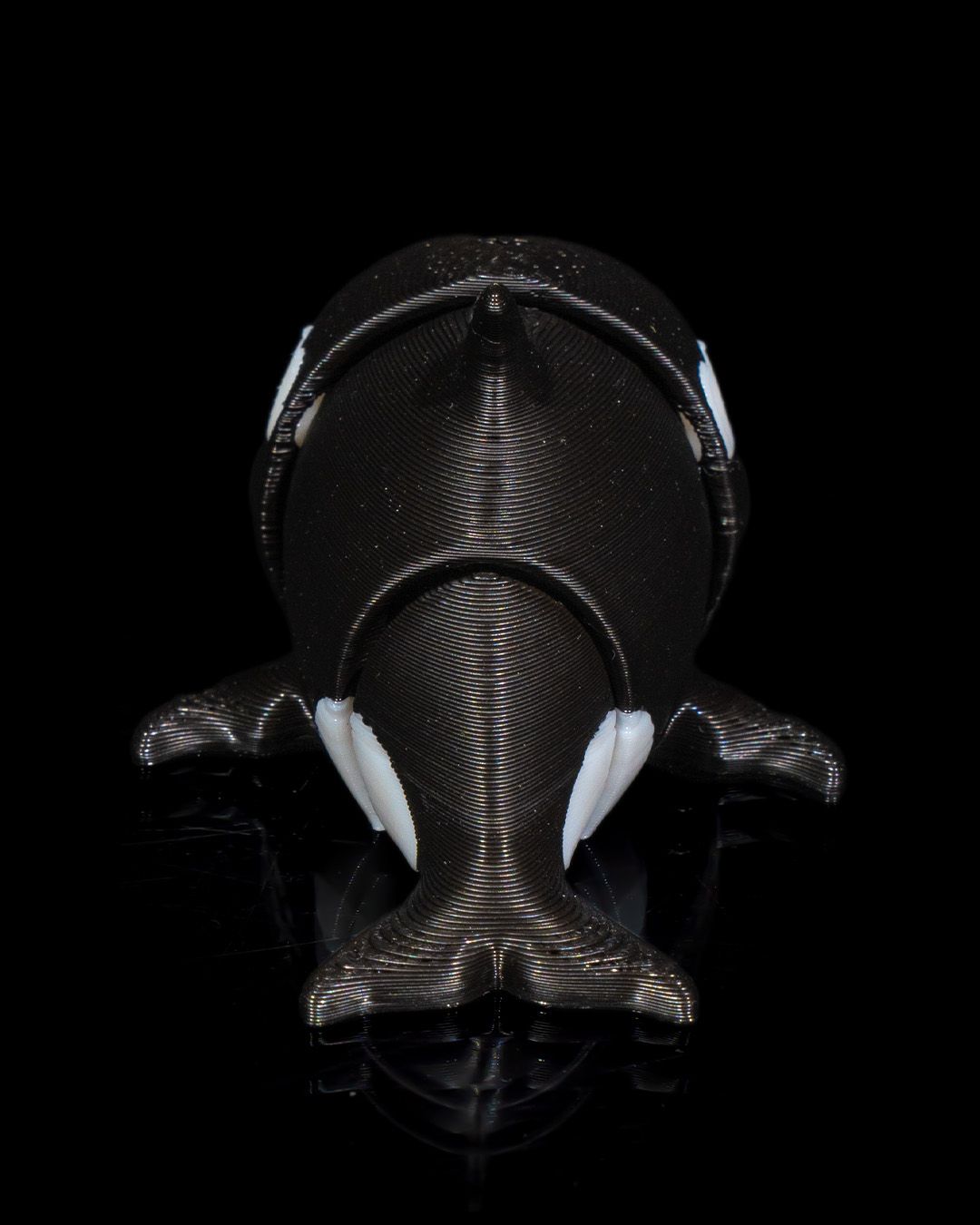 Tiny Orca
