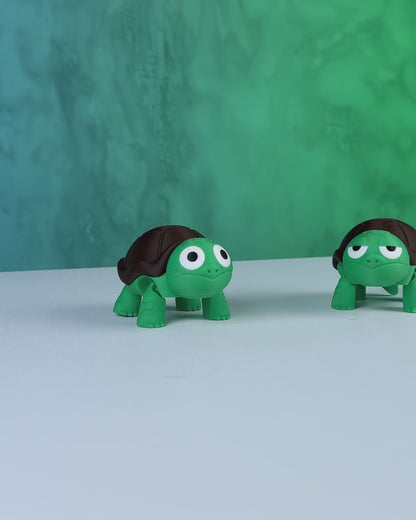 Not Surprised Turtle