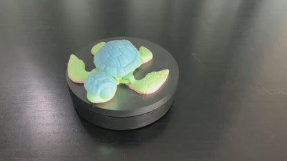 Sea Turtle