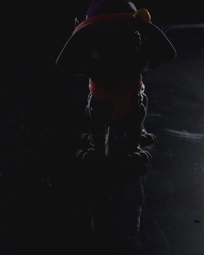 Cat in a Hat
